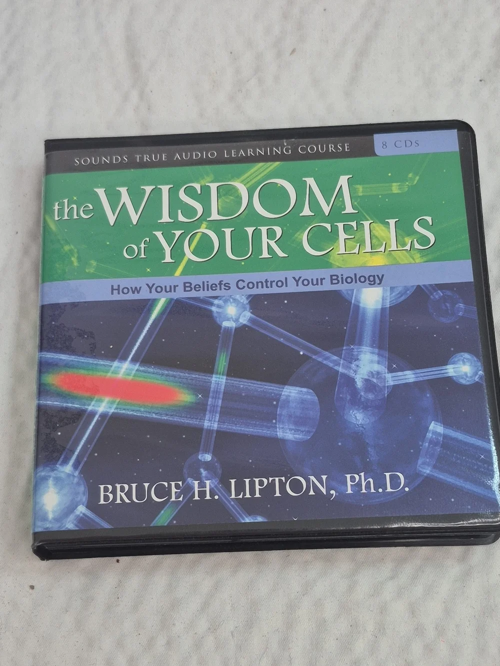 Bruce H Lipton wisdom your